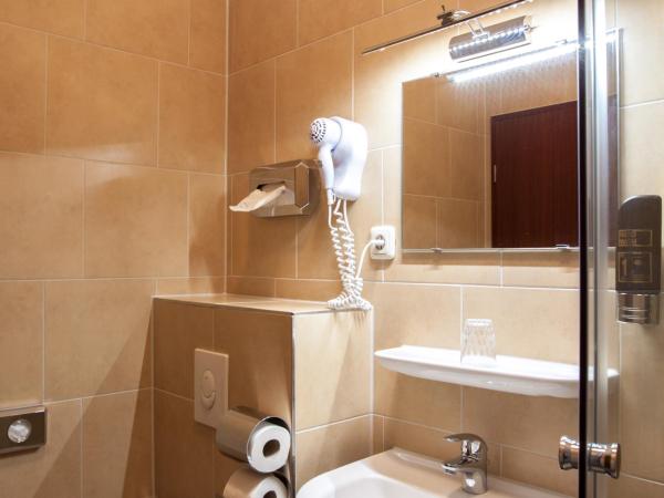 Hotel-Pension ODIN : photo 10 de la chambre chambre simple avec salle de bains privative