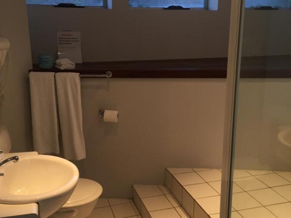 Waterfront Lodge Motel : photo 4 de la chambre chambre lit king-size avec baignoire spa