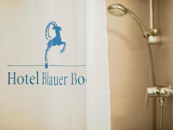 Hotel Blauer Bock : photo 1 de la chambre chambre double standard