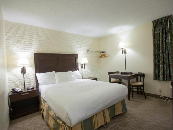 Inns of Virginia Arlington : photo 3 de la chambre chambre lit queen-size - non-fumeurs