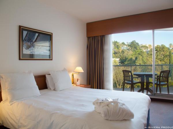Hotel Cannes Montfleury : photo 2 de la chambre chambre double standard avec balcon - côté colline