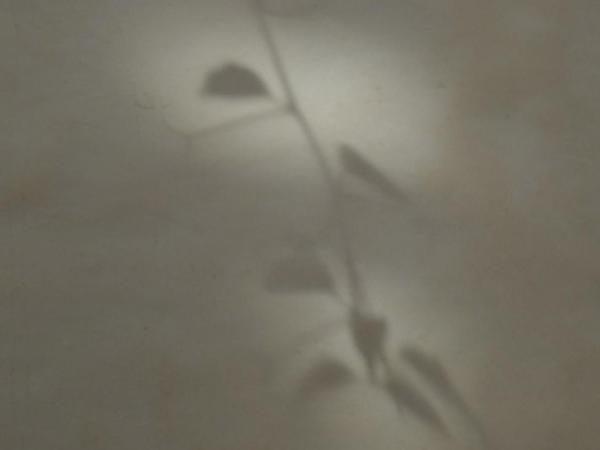 Daranur : photo 1 de la chambre appartement 1 chambre