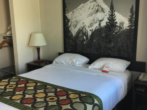 Super 8 by Wyndham Kelowna BC : photo 3 de la chambre chambre lit queen-size accessible aux personnes à mobilité réduite – non-fumeurs