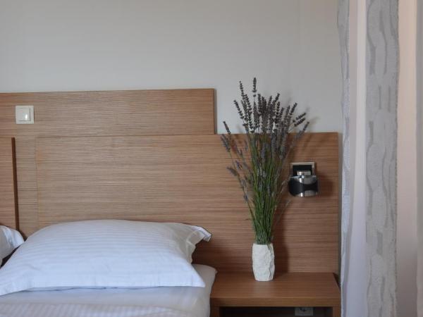 Villa Lučica Trogir : photo 6 de la chambre chambre double ou lits jumeaux avec terrasse