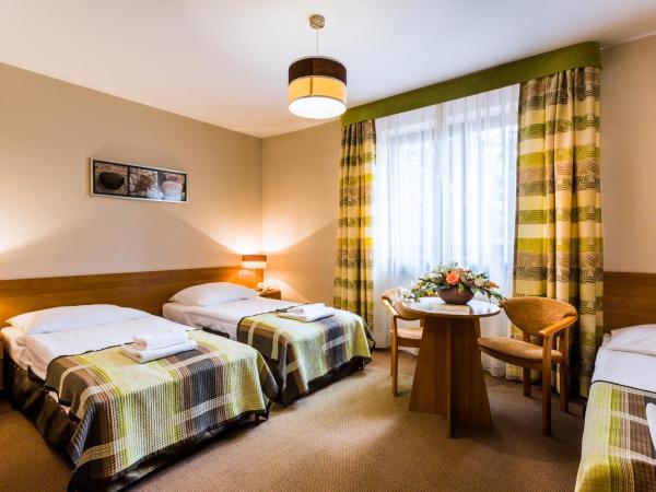 Hotel City SM Business & Spa : photo 2 de la chambre chambre triple