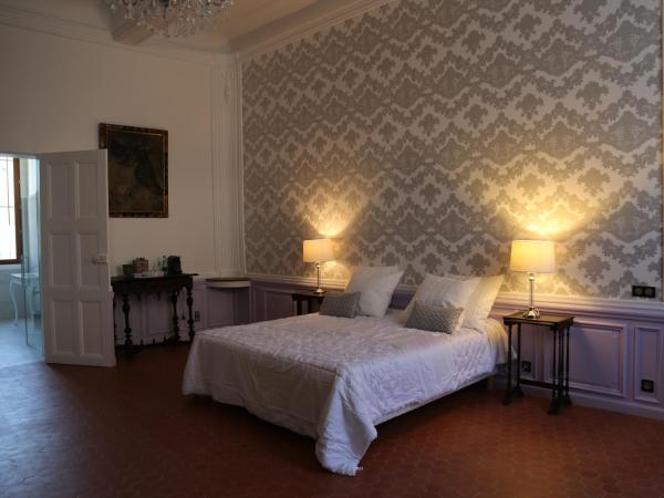Palais de Luppé, Chambre d'hôtes : photo 8 de la chambre chambre double deluxe