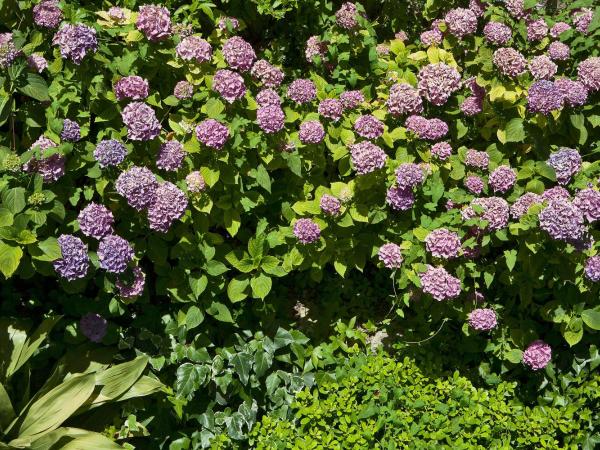 Hotel Della Piccola Marina : photo 4 de la chambre chambre double classique