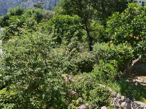 Hotel Della Piccola Marina : photo 5 de la chambre chambre double classique