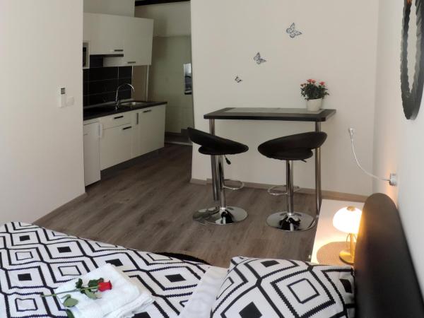 Apartment & room Ivan : photo 4 de la chambre studio