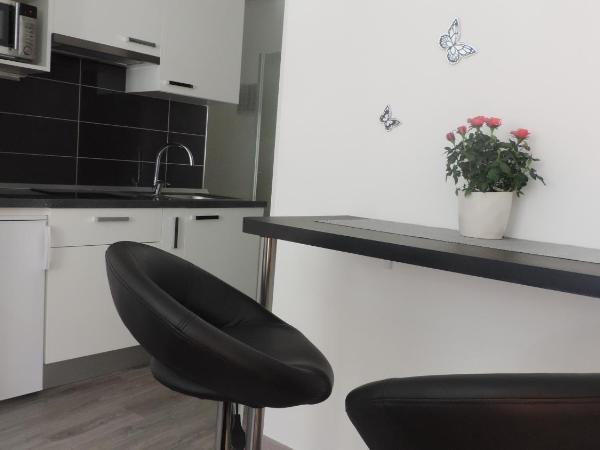 Apartment & room Ivan : photo 7 de la chambre studio