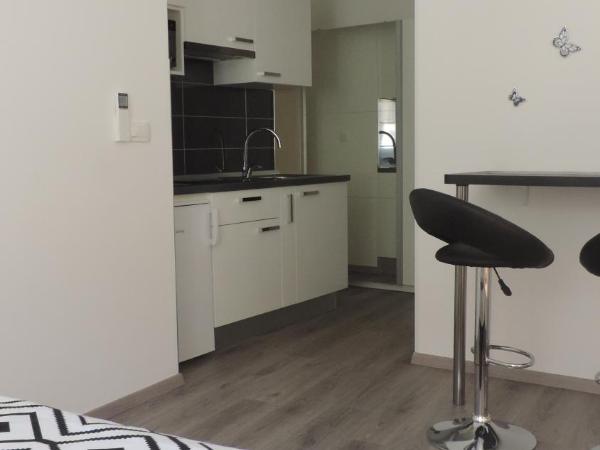 Apartment & room Ivan : photo 8 de la chambre studio