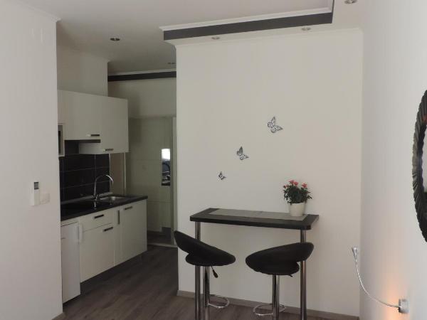 Apartment & room Ivan : photo 9 de la chambre studio