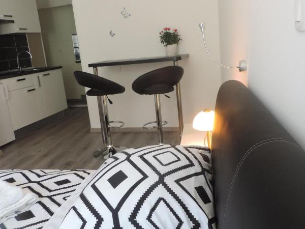 Apartment & room Ivan : photo 10 de la chambre studio