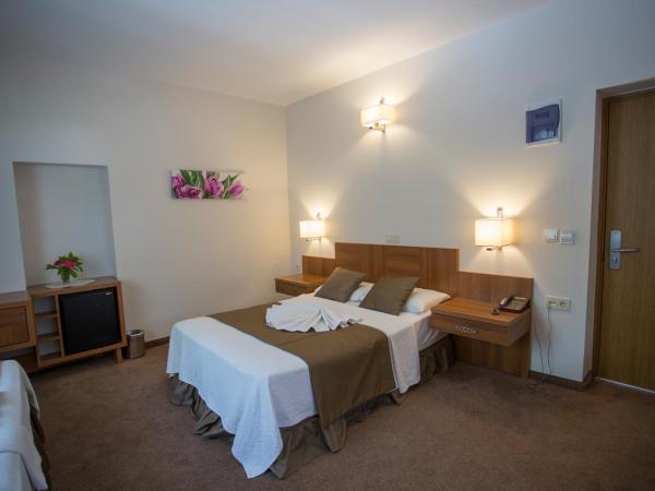 Melis Hotel Kusadasi : photo 3 de la chambre chambre triple - vue sur jardin