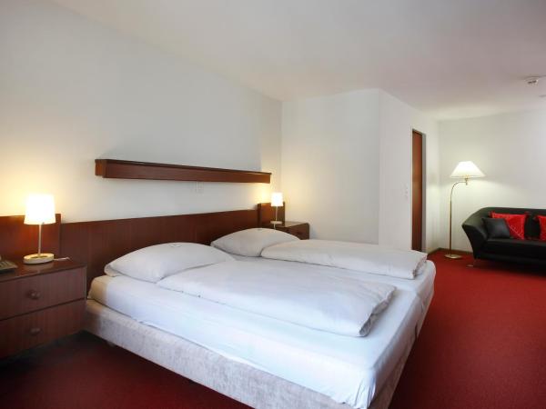 Spalenbrunnen Hotel & Restaurant Basel City Center : photo 2 de la chambre chambre double ou lits jumeaux