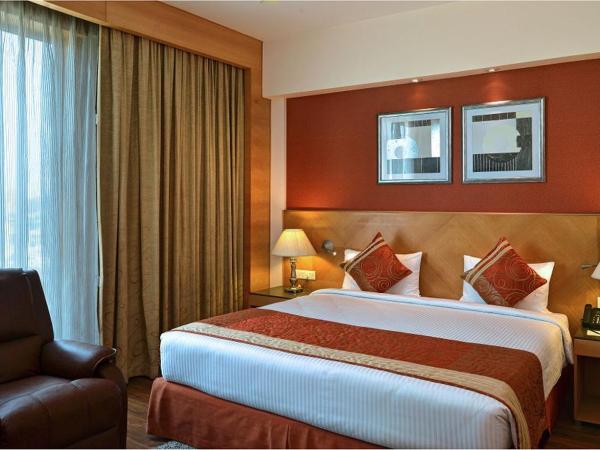 Savoy Suites Manesar : photo 2 de la chambre suite premium