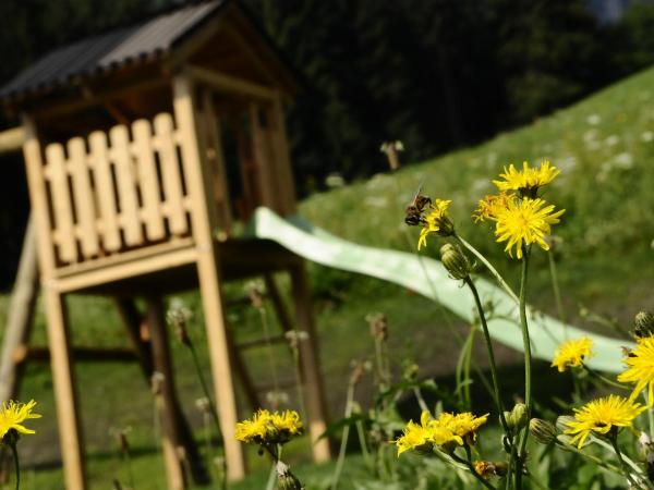 Hoarachhof : photo 10 de la chambre chambre familiale