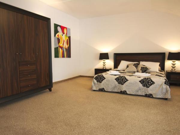 Centrum Konferencyjno-Apartamentowe Mrówka : photo 7 de la chambre chambre double deluxe
