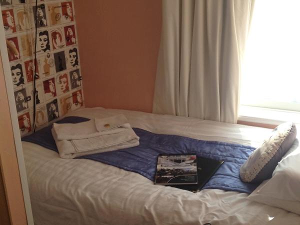 The Dragonfly : photo 1 de la chambre chambre simple