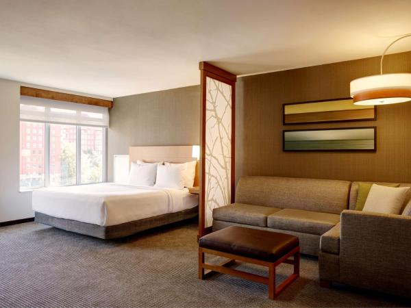 Hyatt Place Arlington Courthouse : photo 5 de la chambre chambre lit king-size pour personnes à mobilité réduite avec canapé-lit et baignoire adaptée