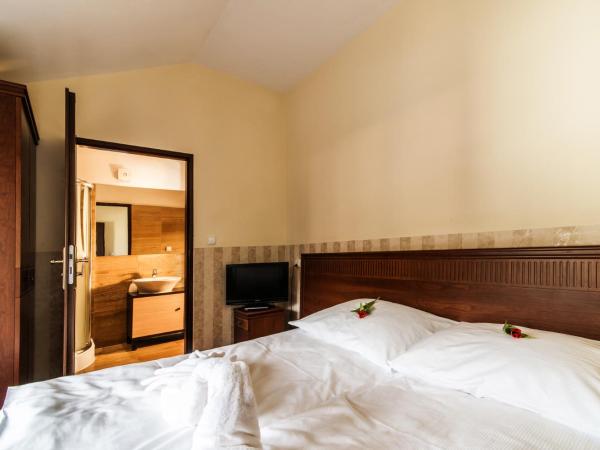 Perła Karkonoszy SPA : photo 3 de la chambre appartement familial (2 adultes + 1 enfant) 