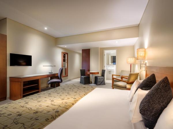 Batman's Hill on Collins : photo 1 de la chambre studio