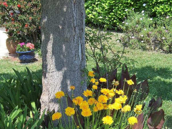 AU VALLON ROUGE (Studio) : photo 7 de la chambre maison 1 chambre