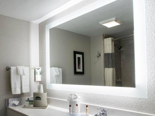 Wingate by Wyndham Dallas Love Field : photo 1 de la chambre chambre lit king-size avec baignoire - accessible aux personnes malentendantes/non-fumeurs