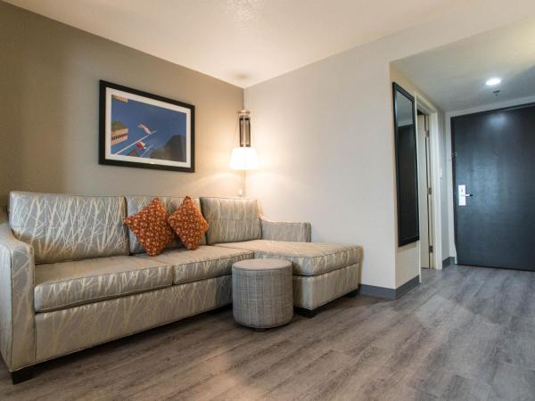 Wingate by Wyndham Dallas Love Field : photo 2 de la chambre chambre lit king-size - non-fumeurs