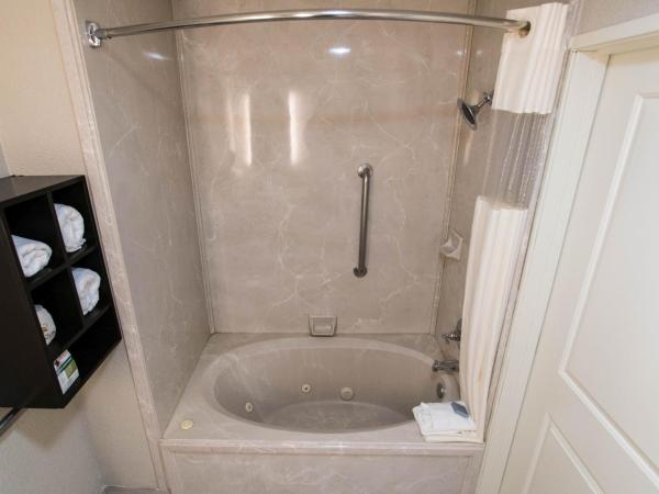 Wingate by Wyndham Dallas Love Field : photo 4 de la chambre suite studio lit king-size - non-fumeurs