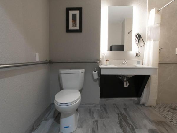 Wingate by Wyndham Dallas Love Field : photo 5 de la chambre chambre lit king-size avec baignoire - accessible aux personnes malentendantes/non-fumeurs