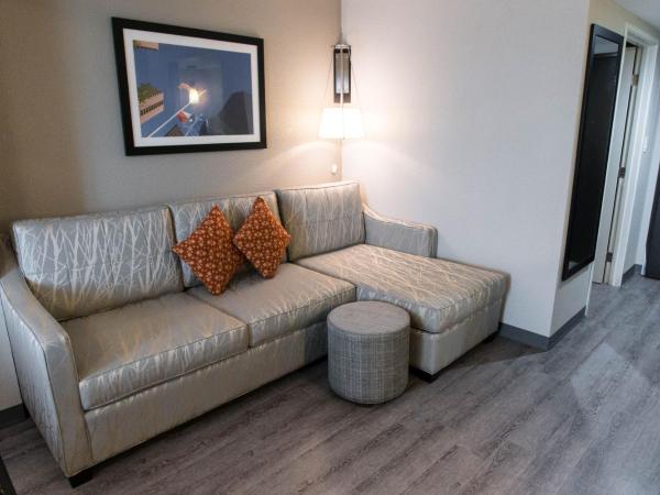 Wingate by Wyndham Dallas Love Field : photo 3 de la chambre suite studio lit king-size - non-fumeurs