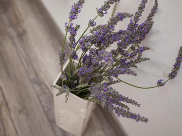 Apartments and Rooms Hey Rovinj : photo 6 de la chambre studio - vue sur mer