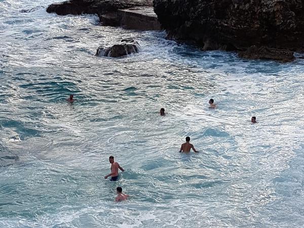 Villa Ambiente : photo 4 de la chambre appartement 1 chambre