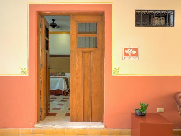 Hotel Luz en Yucatan : photo 1 de la chambre chambre quadruple avec terrasse 