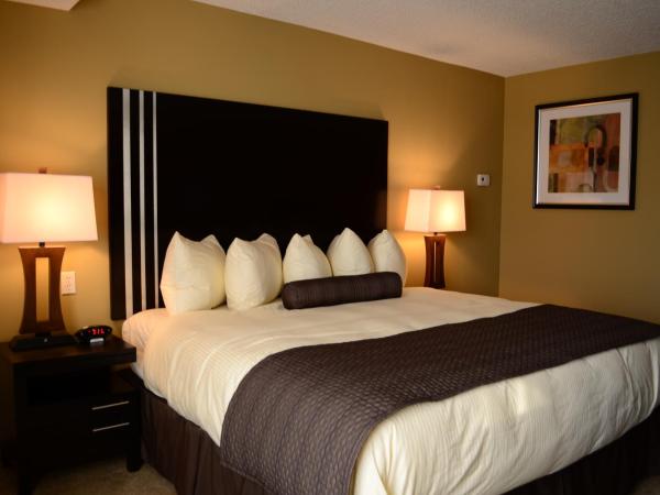 Days Inn by Wyndham Calgary Northwest : photo 7 de la chambre chambre lit king-size