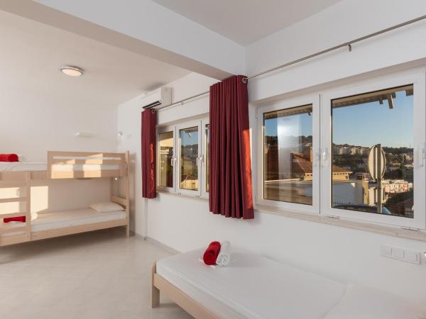 Hostel Free Bird : photo 2 de la chambre lit dans dortoir mixte de 7 lits