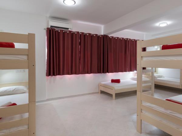 Hostel Free Bird : photo 9 de la chambre lit dans dortoir mixte de 7 lits