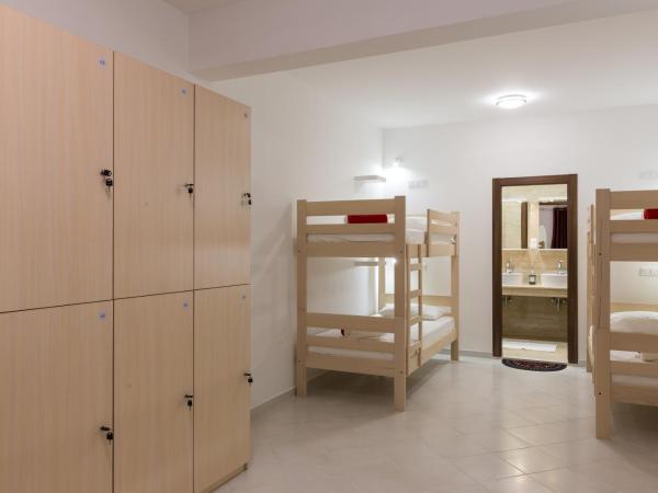 Hostel Free Bird : photo 5 de la chambre lit dans dortoir pour femmes de 8 lits