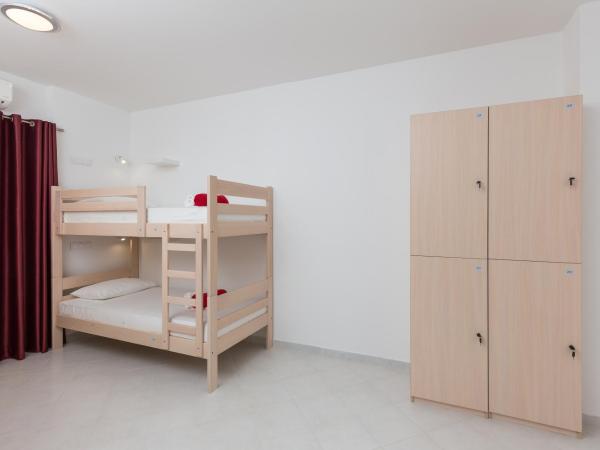 Hostel Free Bird : photo 2 de la chambre lit dans dortoir mixte de 4 lits