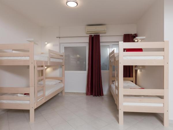 Hostel Free Bird : photo 6 de la chambre lit dans dortoir mixte de 10 lits