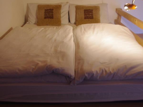 Central Hostel Chatel : photo 4 de la chambre chambre quadruple avec salle de bains privative