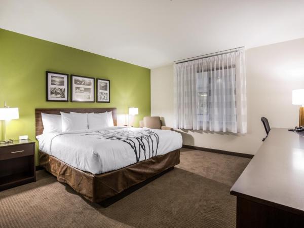 Sleep Inn Dallas Love Field-Medical District : photo 3 de la chambre chambre lit king-size avec douche - non-fumeurs