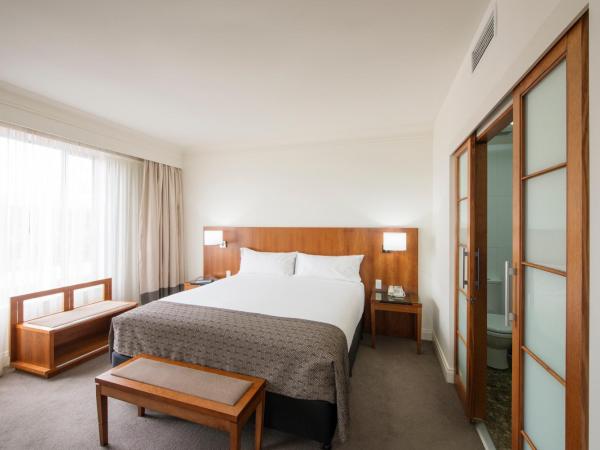 Majestic Roof Garden Hotel : photo 3 de la chambre chambre supérieure