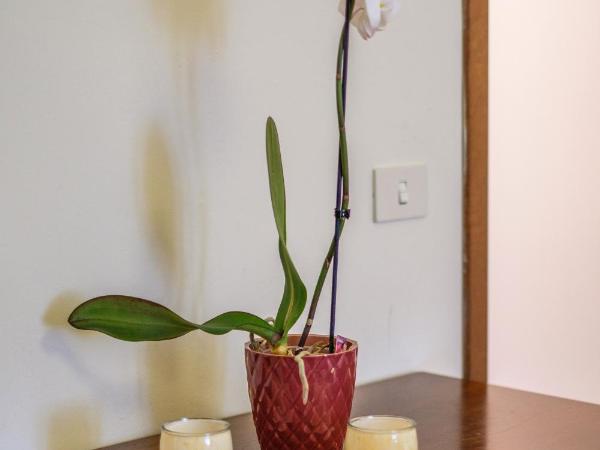 Youth Firenze 2000 : photo 5 de la chambre chambre quadruple