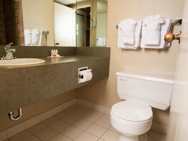 Edmonton Inn and Conference Centre : photo 1 de la chambre suite lit king-size avec canapé-lit