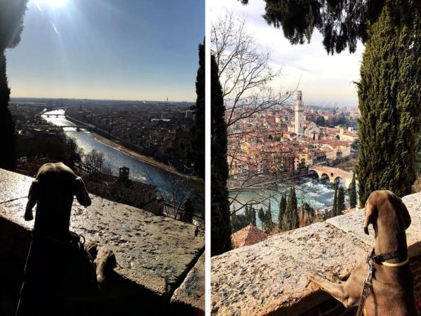 B&B Borgo Re Teodorico : photo 1 de la chambre chambre double avec salle de bains privative extérieure