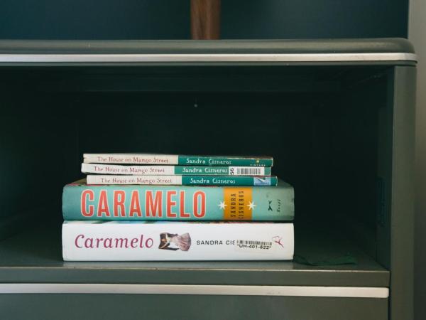 The Publishing House Bed and Breakfast : photo 3 de la chambre chambre cisneros