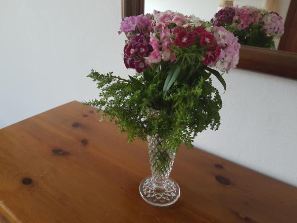 Georgia Old Town Apartments : photo 8 de la chambre studio