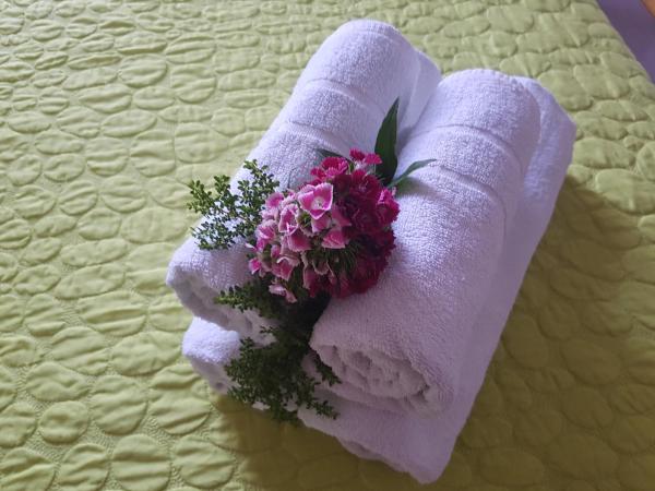 Georgia Old Town Apartments : photo 5 de la chambre studio